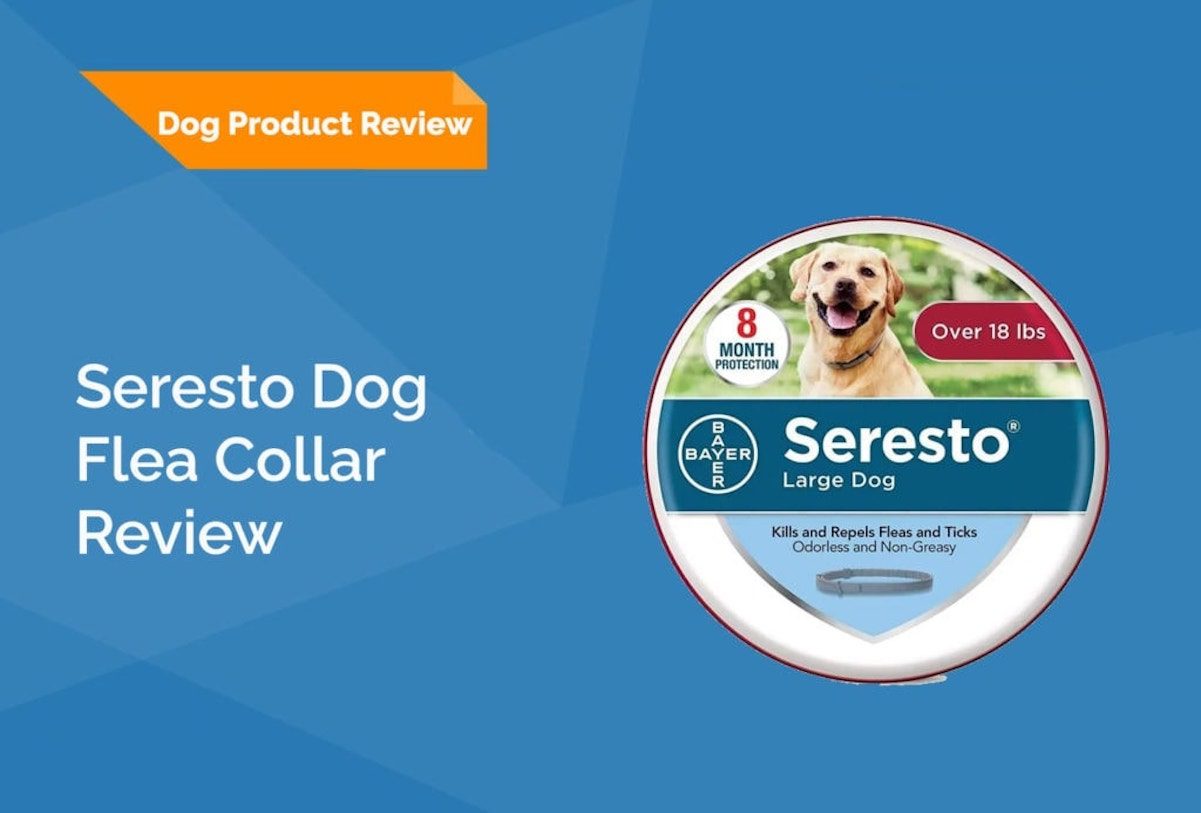 Seresto Large Dog Flea & Tick Treatment & Prevention Collar Pros, Cons & reviews